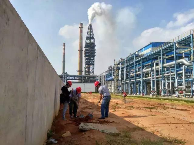 5a16209924fe0.jpg 835808853850282332.jpg