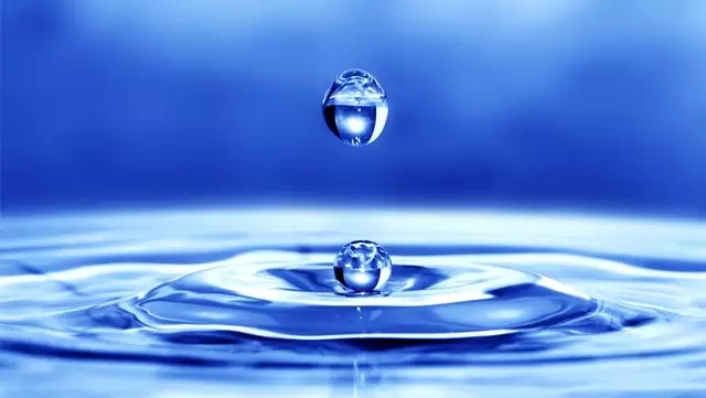 5a961c6ec506e.jpg 22.webp.jpg