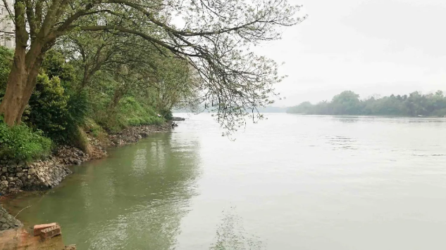 5efe5deaaec1d.png 4.png